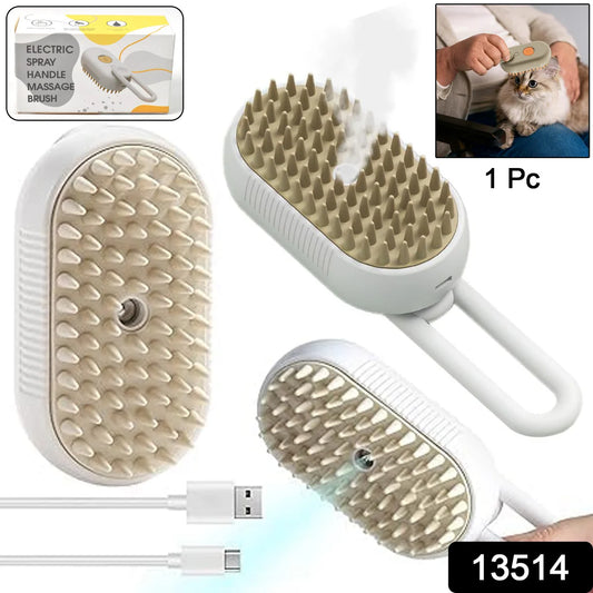 0030. Steam Glow Pro Electric Spray & Massage Brush